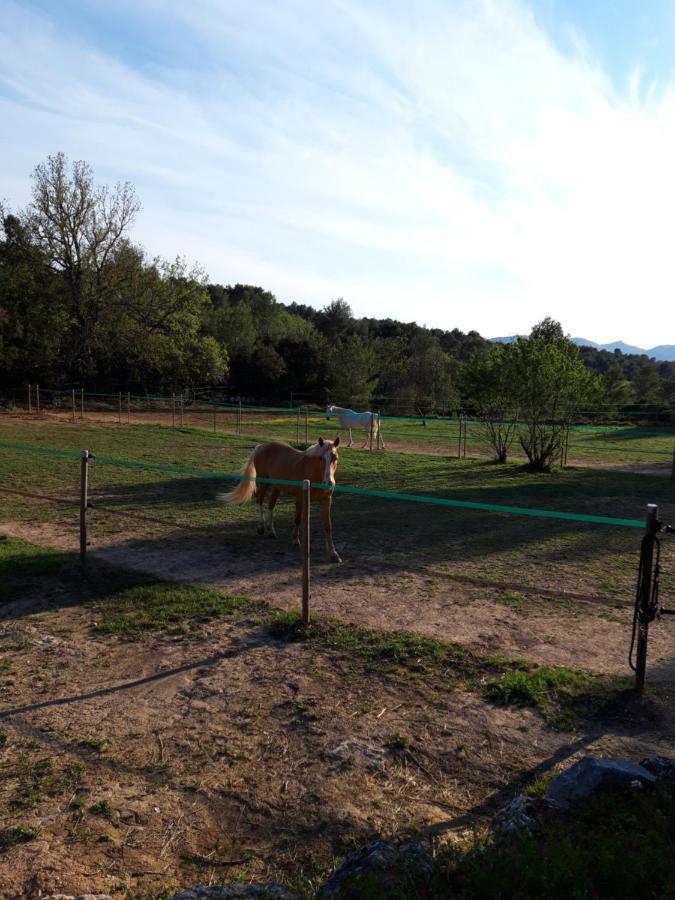 La Margottiere Chez Isa Et Titi Hotel Rians  Bagian luar foto