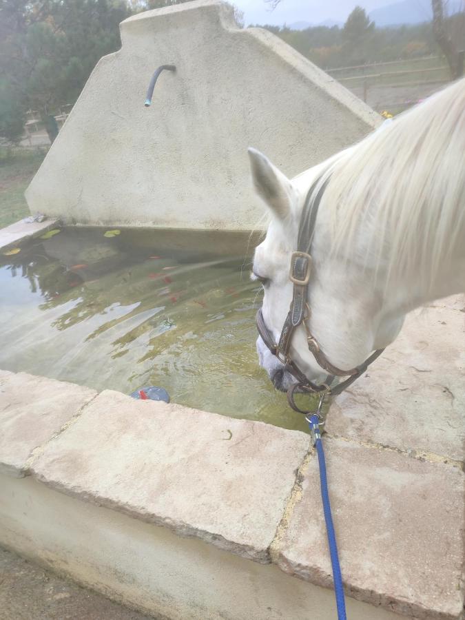 La Margottiere Chez Isa Et Titi Hotel Rians  Bagian luar foto