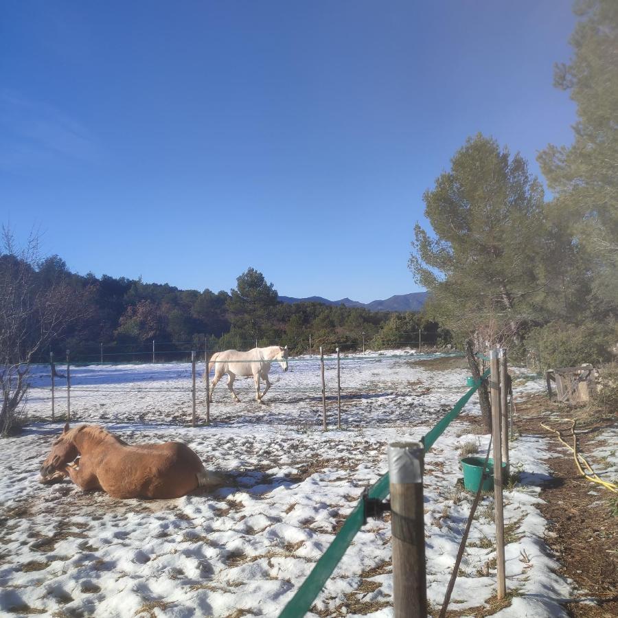 La Margottiere Chez Isa Et Titi Hotel Rians  Bagian luar foto